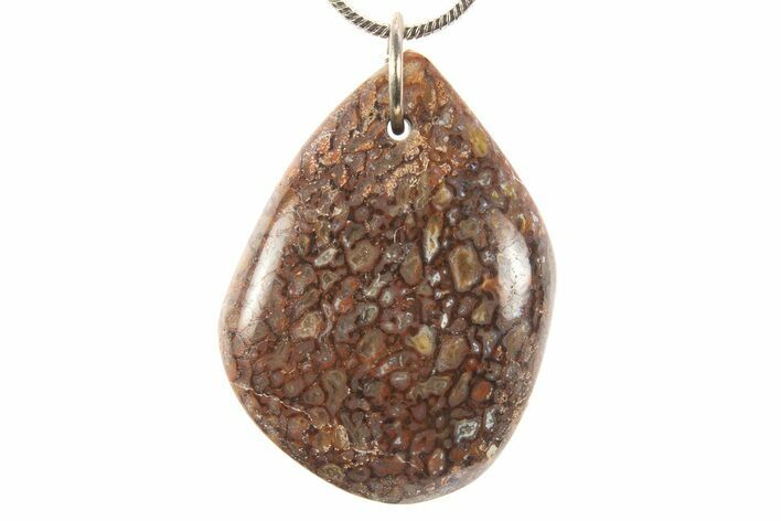 Dinosaur Bone (Gembone) Pendant - Includes Chain #327641